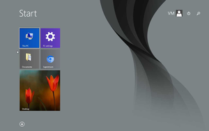 Windows 8 Start Screen.png